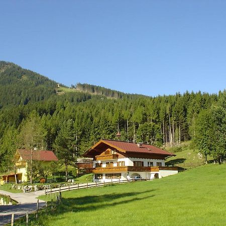 Landhaus Dickhardt Daire Schladming Dış mekan fotoğraf